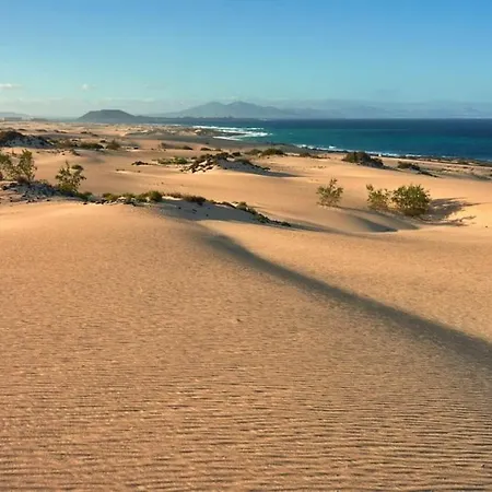 公寓 Fuerteventura Paradise